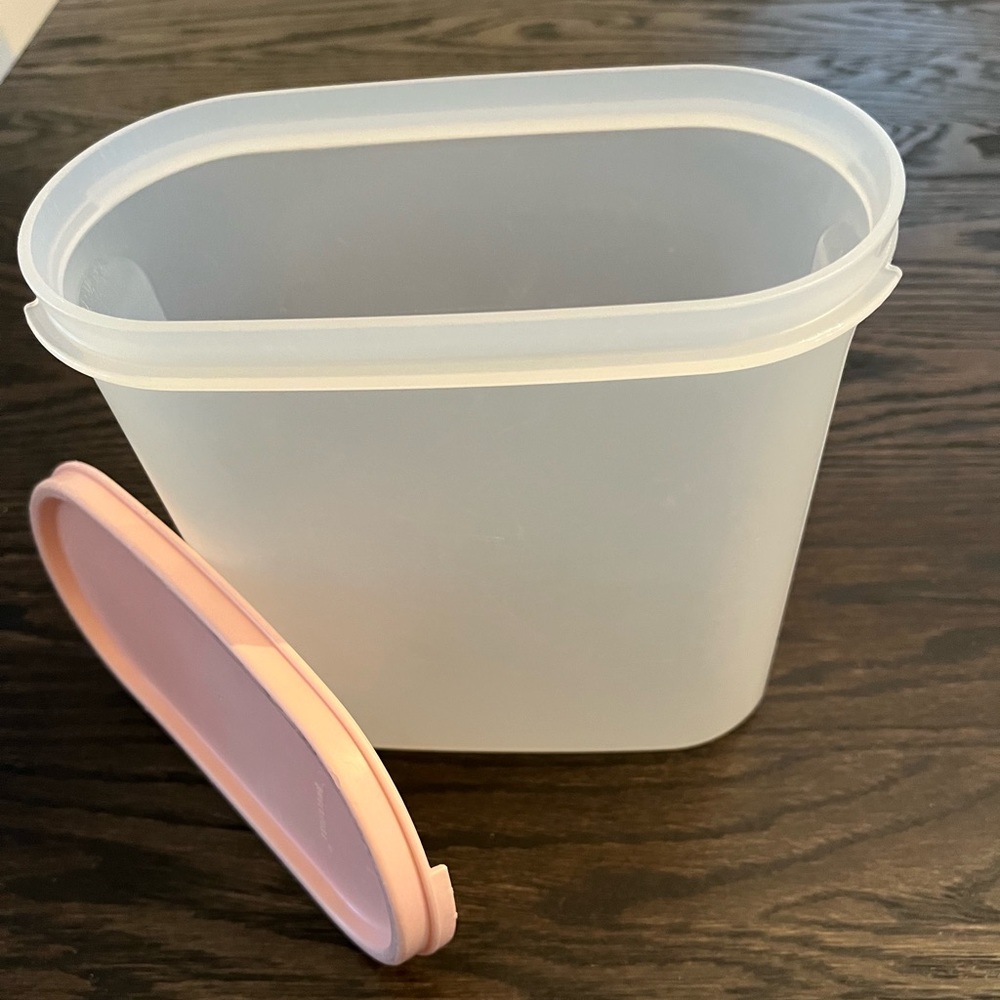2 VINTAGE TUPPERWARE CONTAINERS